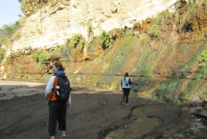 Von Nairobi zum Naivasha-See Tagestour (Besuch des Hells Gate)