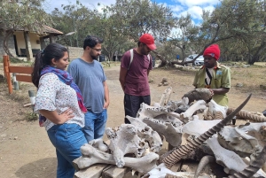Von Nairobi zum Naivasha-See Tagestour (Besuch des Hells Gate)