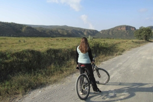 Von Nairobi zum Naivasha-See Tagestour (Besuch des Hells Gate)