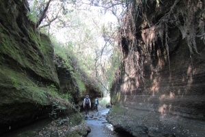 Von Nairobi zum Naivasha-See Tagestour (Besuch des Hells Gate)