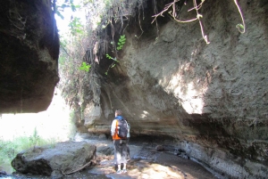 Von Nairobi zum Naivasha-See Tagestour (Besuch des Hells Gate)