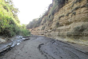 Von Nairobi zum Naivasha-See Tagestour (Besuch des Hells Gate)