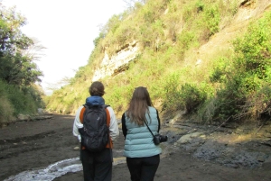 Von Nairobi zum Naivasha-See Tagestour (Besuch des Hells Gate)