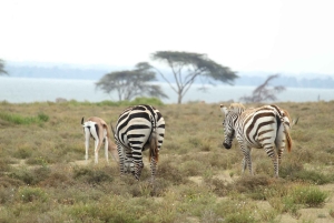 Von Nairobi zum Naivasha-See Tagestour (Besuch des Hells Gate)