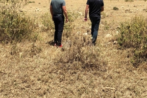 Von Nairobi zum Naivasha-See Tagestour (Besuch des Hells Gate)