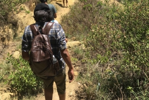 Von Nairobi zum Naivasha-See Tagestour (Besuch des Hells Gate)