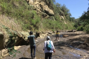 Von Nairobi zum Naivasha-See Tagestour (Besuch des Hells Gate)