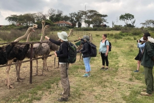 Von Nairobi zum Naivasha-See Tagestour (Besuch des Hells Gate)