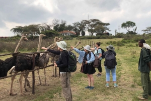 Von Nairobi zum Naivasha-See Tagestour (Besuch des Hells Gate)
