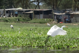 Von Nairobi zum Naivasha-See Tagestour (Besuch des Hells Gate)