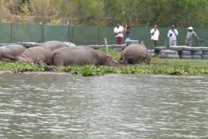 Von Nairobi zum Naivasha-See Tagestour (Besuch des Hells Gate)