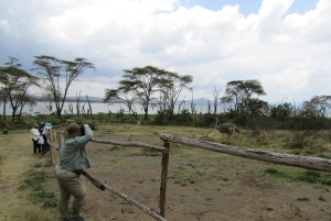 Von Nairobi zum Naivasha-See Tagestour (Besuch des Hells Gate)