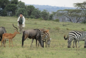 Von Nairobi zum Naivasha-See Tagestour (Besuch des Hells Gate)