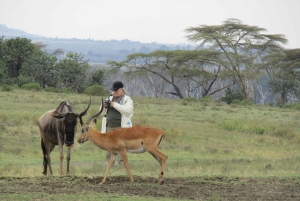 Von Nairobi zum Naivasha-See Tagestour (Besuch des Hells Gate)