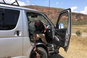 Von Nairobi zum Naivasha-See Tagestour (Besuch des Hells Gate)