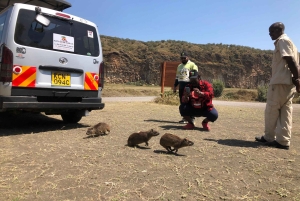 Von Nairobi zum Naivasha-See Tagestour (Besuch des Hells Gate)