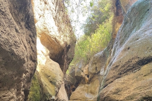 Von Nairobi zum Naivasha-See Tagestour (Besuch des Hells Gate)