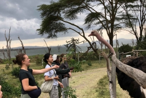 Von Nairobi zum Naivasha-See Tagestour (Besuch des Hells Gate)