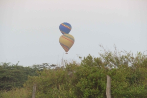 Fra Nairobi til Masai Mara: 3 dage og 2 nætter i Masai Mara