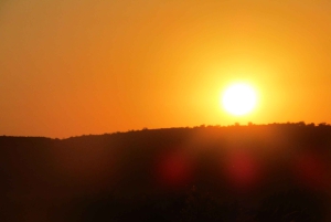 Fra Nairobi til Masai Mara: 3 dage og 2 nætter i Masai Mara