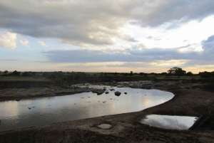 Fra Nairobi til Masai Mara: 3 dage og 2 nætter i Masai Mara