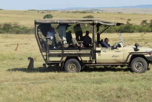 Fra Nairobi til Masai Mara: 3 dage og 2 nætter i Masai Mara