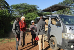 Fra Nairobi til Masai Mara: 3 dage og 2 nætter i Masai Mara