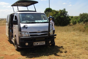 Fra Nairobi til Masai Mara: 3 dage og 2 nætter i Masai Mara