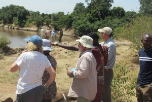Fra Nairobi til Masai Mara: 3 dage og 2 nætter i Masai Mara