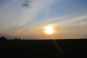 Fra Nairobi til Masai Mara: 3 dage og 2 nætter i Masai Mara