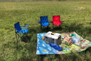 Fra Nairobi til Masai Mara: 3 dage og 2 nætter i Masai Mara