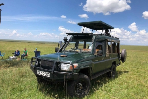 Fra Nairobi til Masai Mara: 3 dage og 2 nætter i Masai Mara