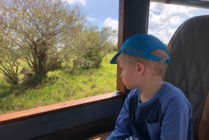 Fra Nairobi til Masai Mara: 3 dage og 2 nætter i Masai Mara