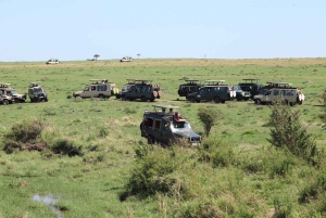 Fra Nairobi til Masai Mara: 3 dage og 2 nætter i Masai Mara