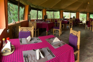 Fra Nairobi til Masai Mara: 3 dage og 2 nætter i Masai Mara