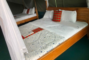 Fra Nairobi til Masai Mara: 3 dage og 2 nætter i Masai Mara