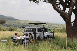 Fra Nairobi til Masai Mara: 3 dage og 2 nætter i Masai Mara