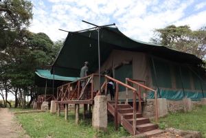 Fra Nairobi til Masai Mara: 3 dage og 2 nætter i Masai Mara