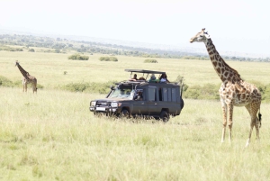 Fra Nairobi til Masai Mara: 3 dage og 2 nætter i Masai Mara