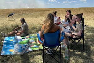 Fra Nairobi til Masai Mara: 3 dage og 2 nætter i Masai Mara