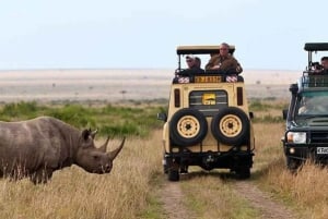 De Nairobi: 3 dias e 2 noites de Safari do Grupo Maasai Mara