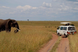 Från Nairobi till Masai Mara : 3 dagar 2 nätter Att gå med i Safaris