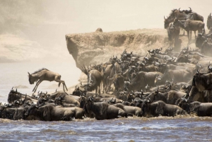 De Nairobi à Masai Mara : 3 Jours 2 Nuits Joining Safaris