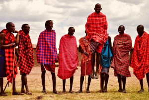 Von Nairobi nach Masai Mara: 3 Tage 2 Nächte Anschluss-Safaris