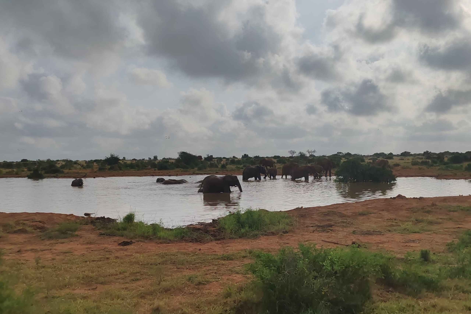 From Watamu: 2-Day Safari in Tsavo East National Park