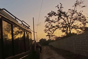 From Watamu: 2-Day Safari in Tsavo East National Park