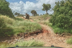 From Watamu: 2-Day Safari in Tsavo East National Park