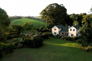 Tour di un giorno intero della fattoria del tè di Kiambethu