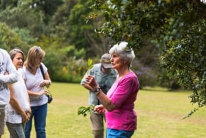 Full Day Kiambethu Tea Farm Tour