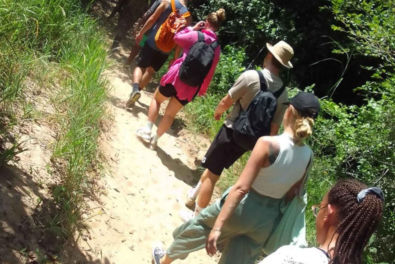 Całodniowa wycieczka po wzgórzach Shimba ze szlakiem przyrodniczym Shifoga